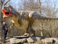 T-Rex-WinfriedHoor-300dpi.jpg