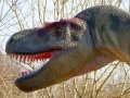 Albertosaurus-WinfriedHoor-300dpi.jpg