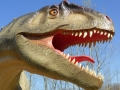 Allosaurus-ElkeWagner.jpg