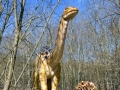 Apatosaurus-ElkeWagner.jpg