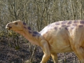 Iguanodon-ElkeWagner.jpg