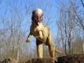 Pachycephalosaurus-WinfriedHoor-300dpi.jpg