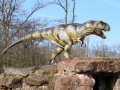 T-Rex-Jungtier-WinfriedHoor-300dpi.jpg
