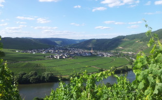 24 Stunden Bloggerwandern auf dem Moselsteig - Blick auf Bernkastel-Kues