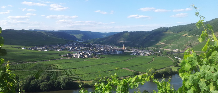 24 Stunden Bloggerwandern auf dem Moselsteig - Blick auf Bernkastel-Kues