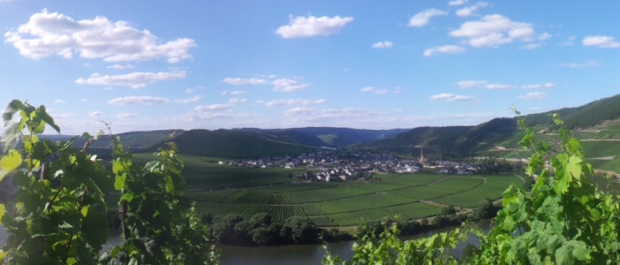 24 Stunden Bloggerwandern auf dem Moselsteig - Blick auf Bernkastel-Kues