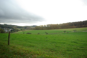 Wandern im Westerwald