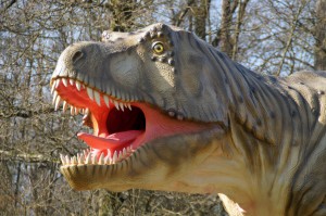 Scharfe Zähne hatte der Tyrannosaurusrex ja. Foto: Junger T-Rex im Dinosauerierpark Teufelsschlucht. Foto: Winfried Hoor