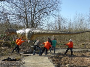 Der Allosaurus bei seinem Spaziergang durch den Dinosaurierpark Teufelsschlucht. Foto: Elke Wagner