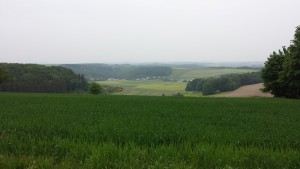 Das Winkeler Maar liegt direkt neben dem Pulvermaar und ist ca. 40.000 Jahre alt. Heute wird es landwirtschaftlich genutzt.