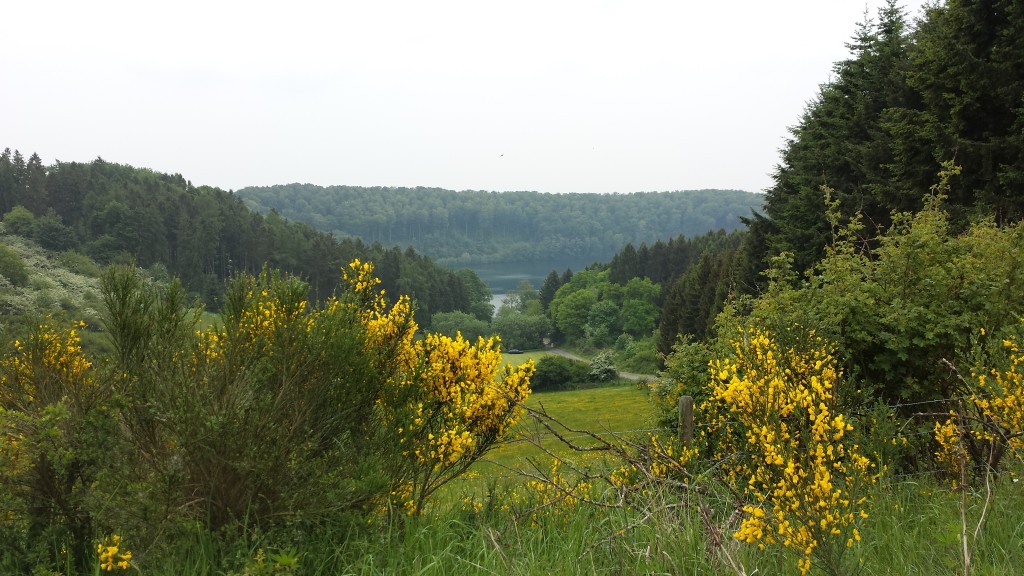 Das Pulvermaar und seine Vegetation in der Vulkaneifel