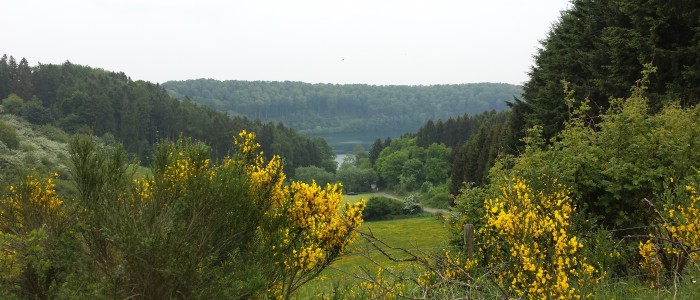 Das Pulvermaar und seine Vegetation in der Vulkaneifel