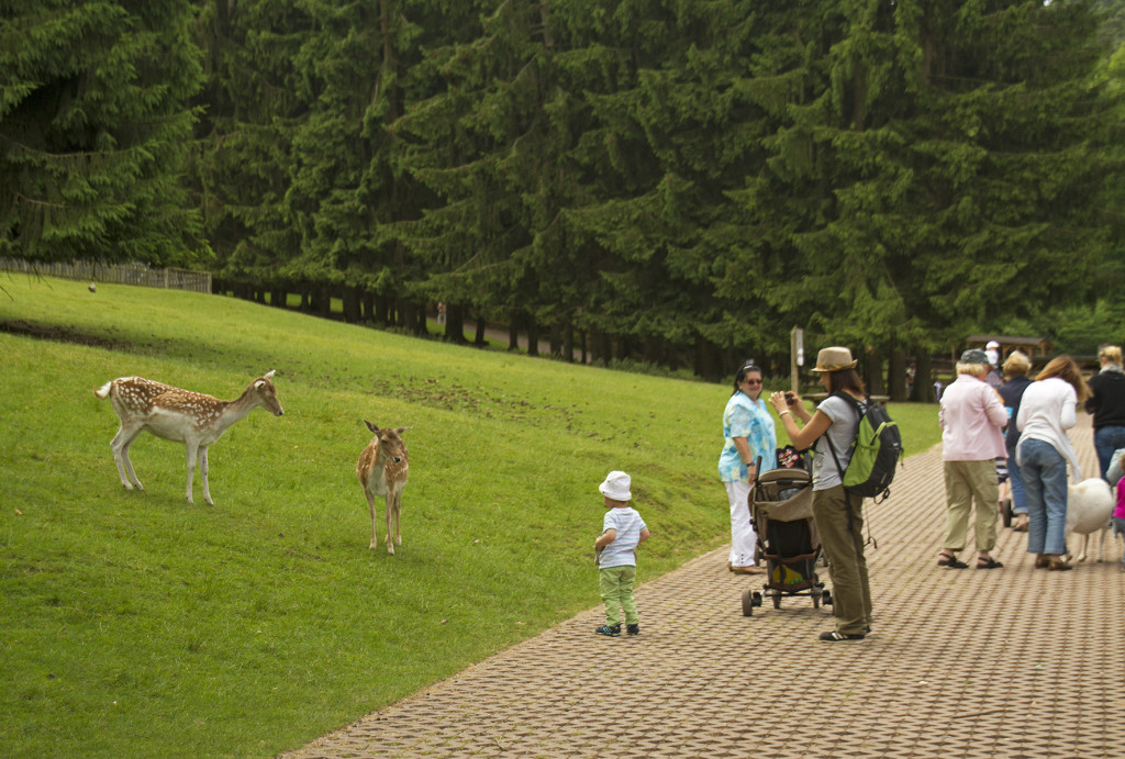 Besucher im Wild- und Wanderpark Silz