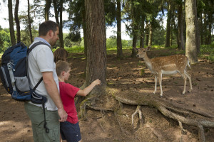 Tiere beobachten aus nächster Nähe – aber bitte nicht anfassen!