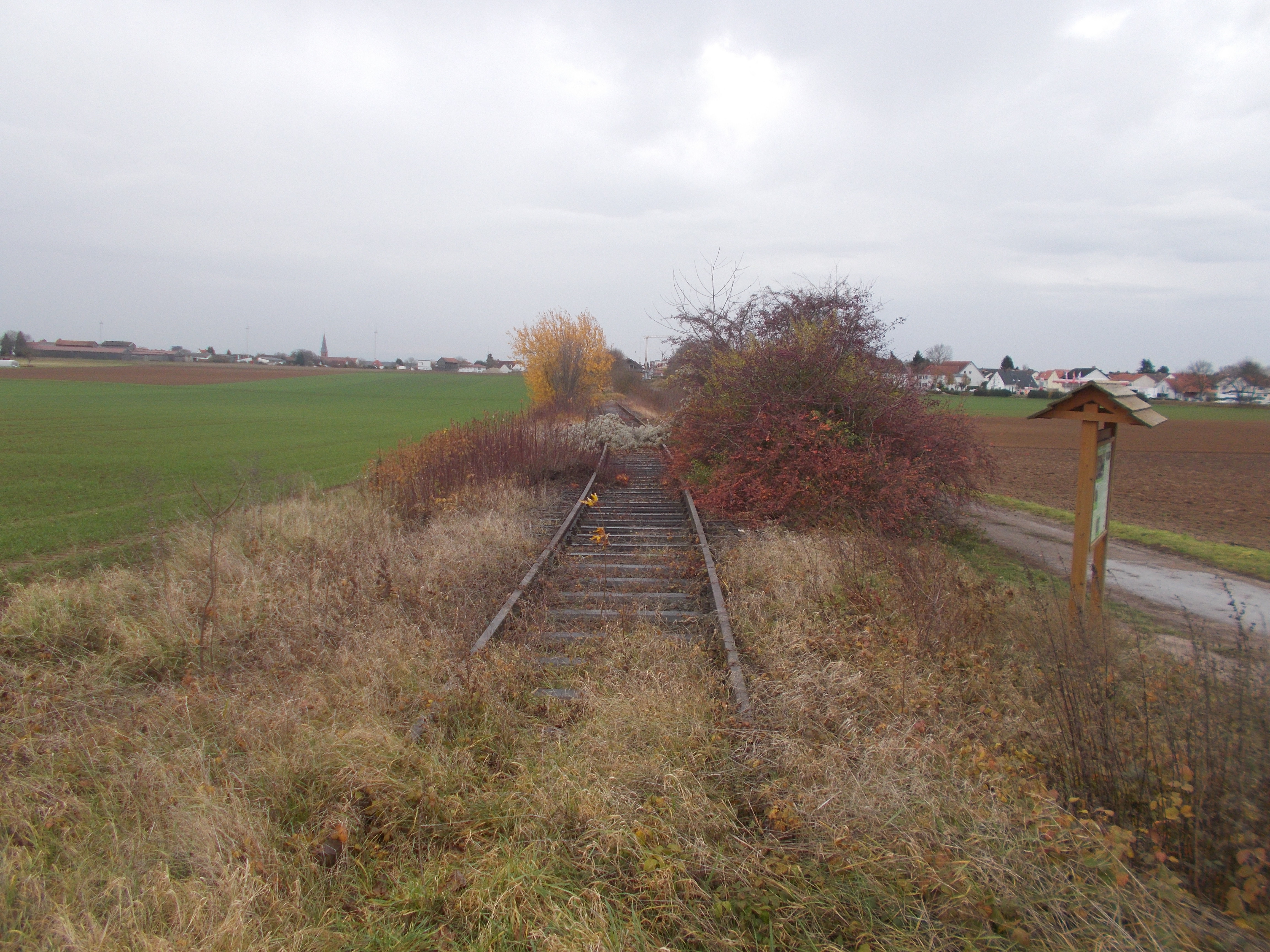 DSCN2745.JPG